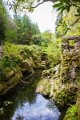 Tollymore Forest Park Newcastle Co Down (8)